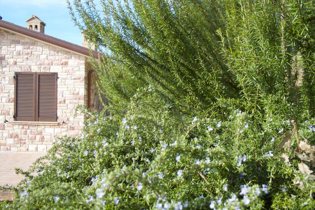 B&B Lavanda E Rosmarino Assisi Eksteriør billede