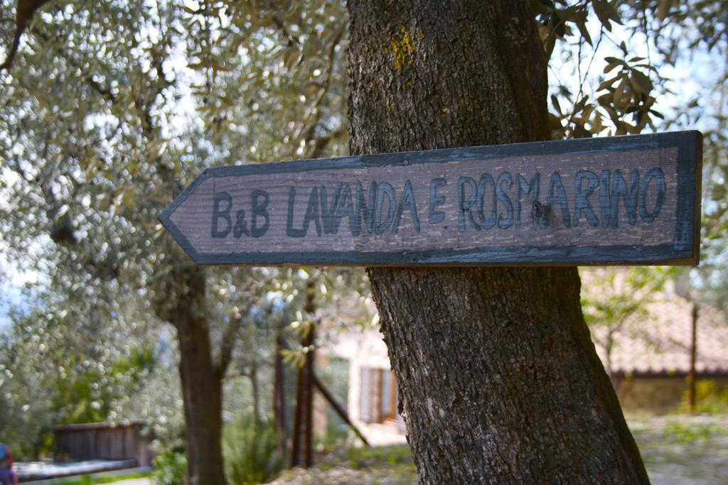 B&B Lavanda E Rosmarino Assisi Eksteriør billede