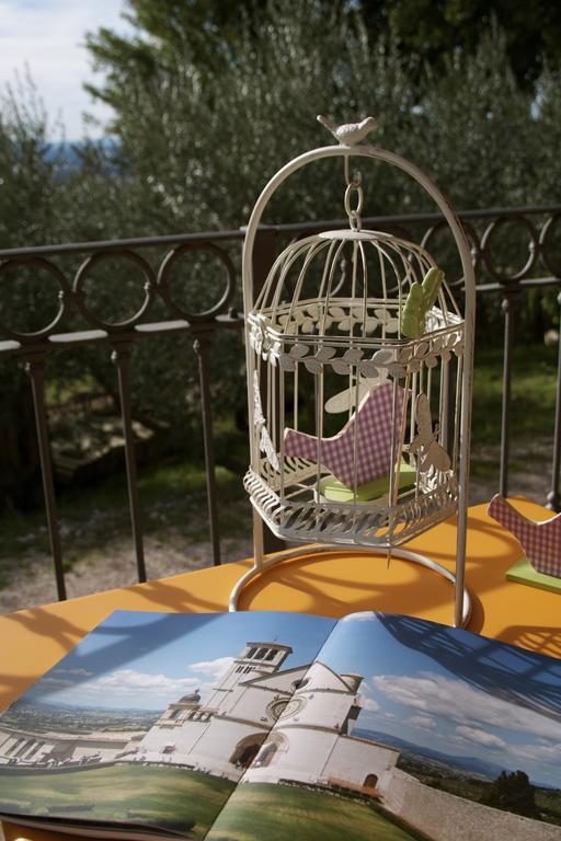 B&B Lavanda E Rosmarino Assisi Eksteriør billede