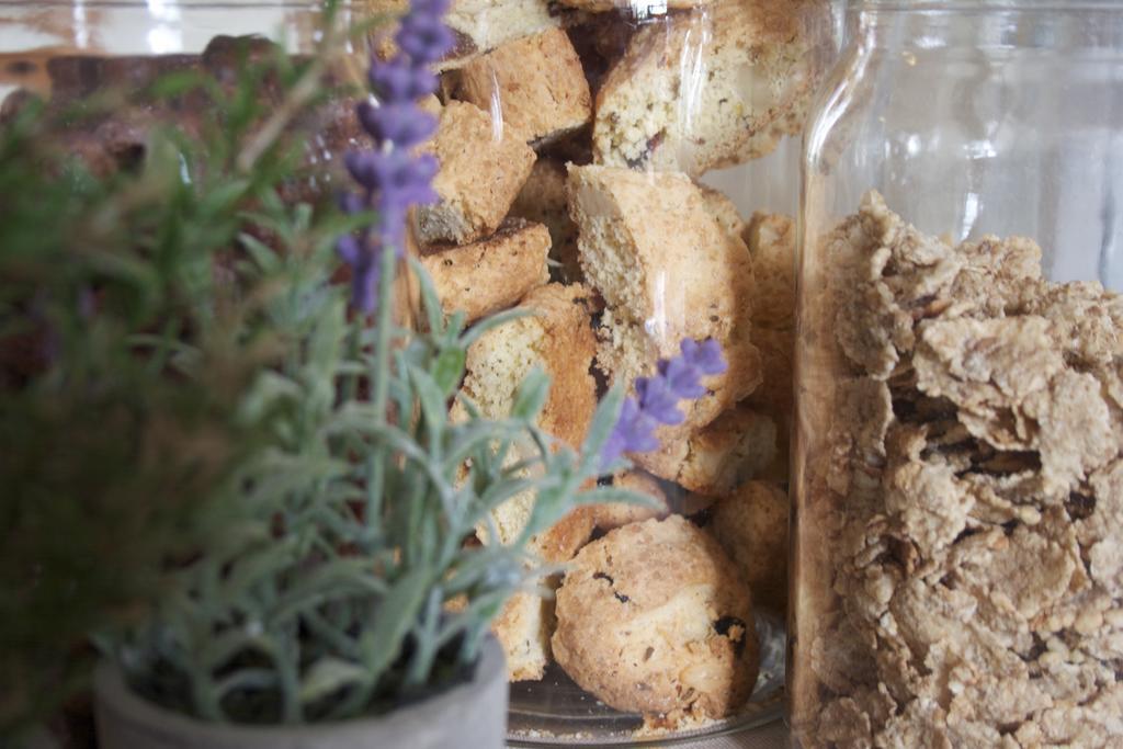 B&B Lavanda E Rosmarino Assisi Eksteriør billede