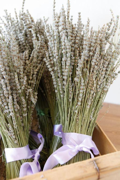 B&B Lavanda E Rosmarino Assisi Eksteriør billede