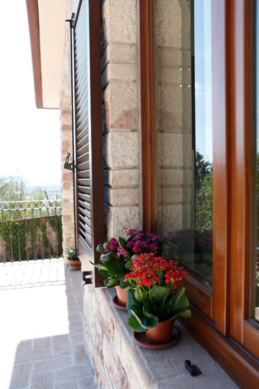 B&B Lavanda E Rosmarino Assisi Eksteriør billede