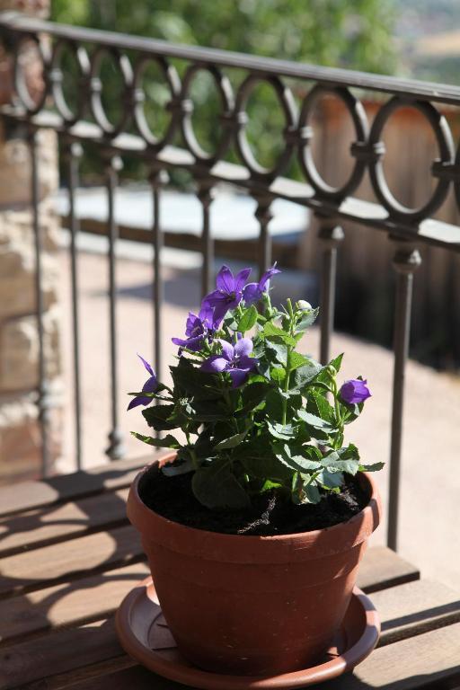 B&B Lavanda E Rosmarino Assisi Eksteriør billede