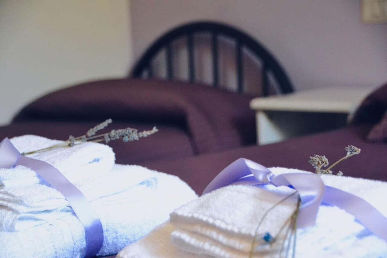 B&B Lavanda E Rosmarino Assisi Eksteriør billede