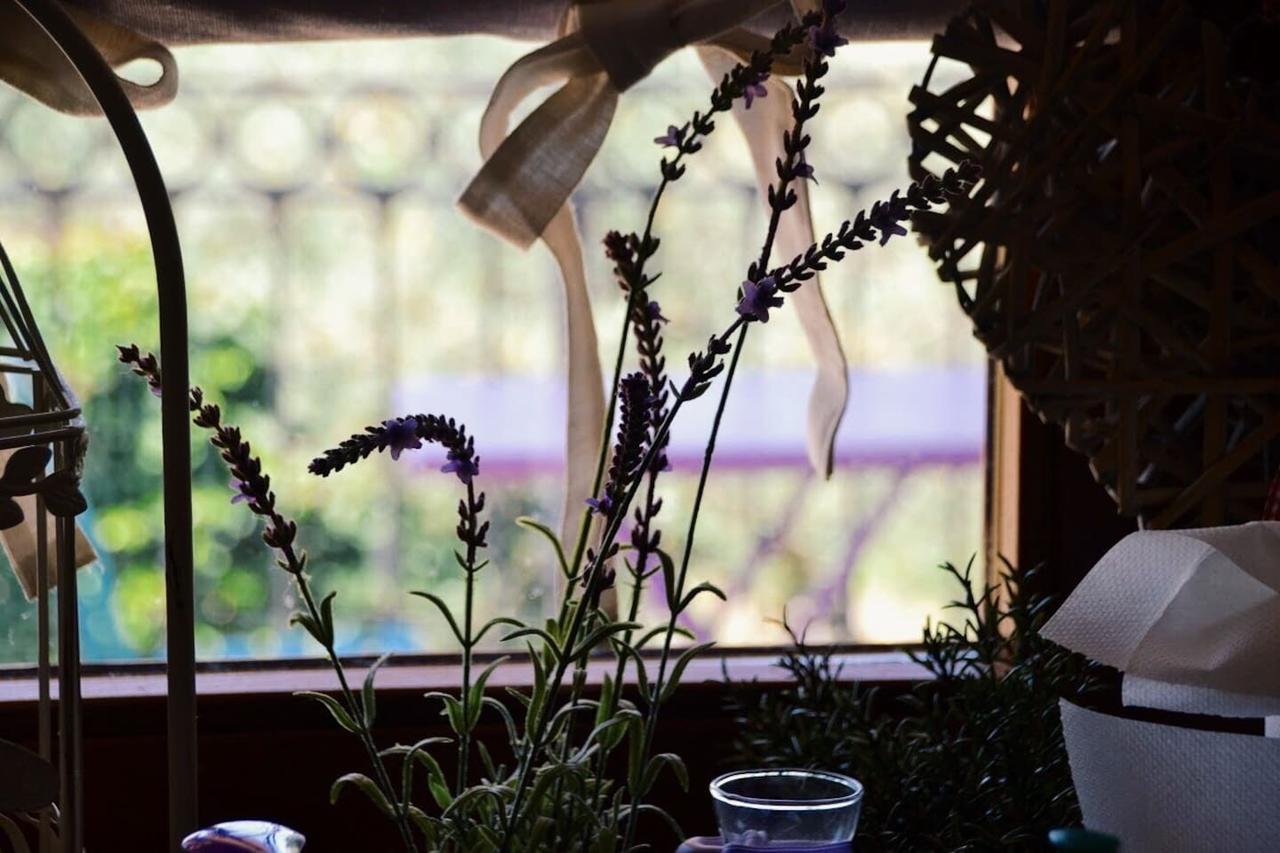B&B Lavanda E Rosmarino Assisi Eksteriør billede
