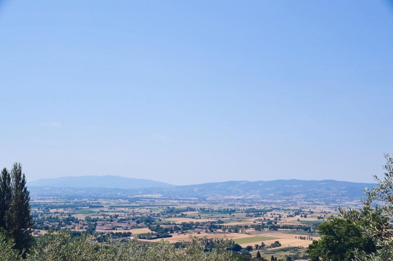 B&B Lavanda E Rosmarino Assisi Eksteriør billede
